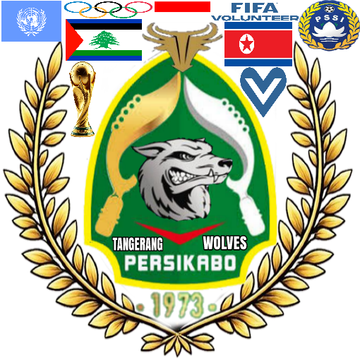 Bilateral antar negara melalui PSSI & FIFA